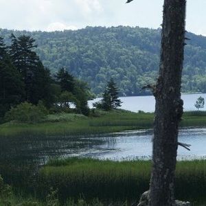 Meet your Posher, Stephen